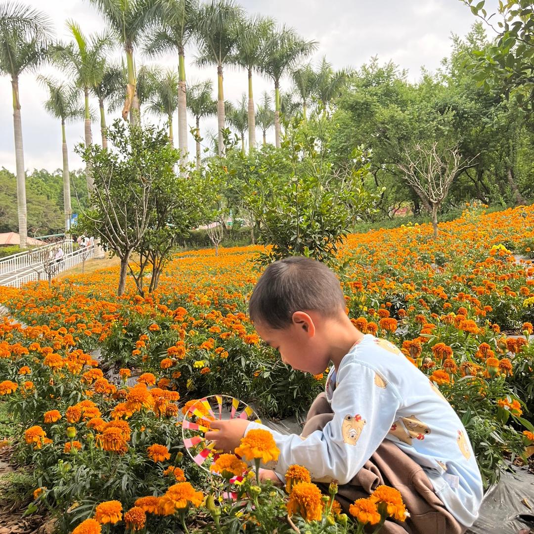 🌻   ♡+♡=♡²
