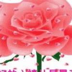 灵之梦