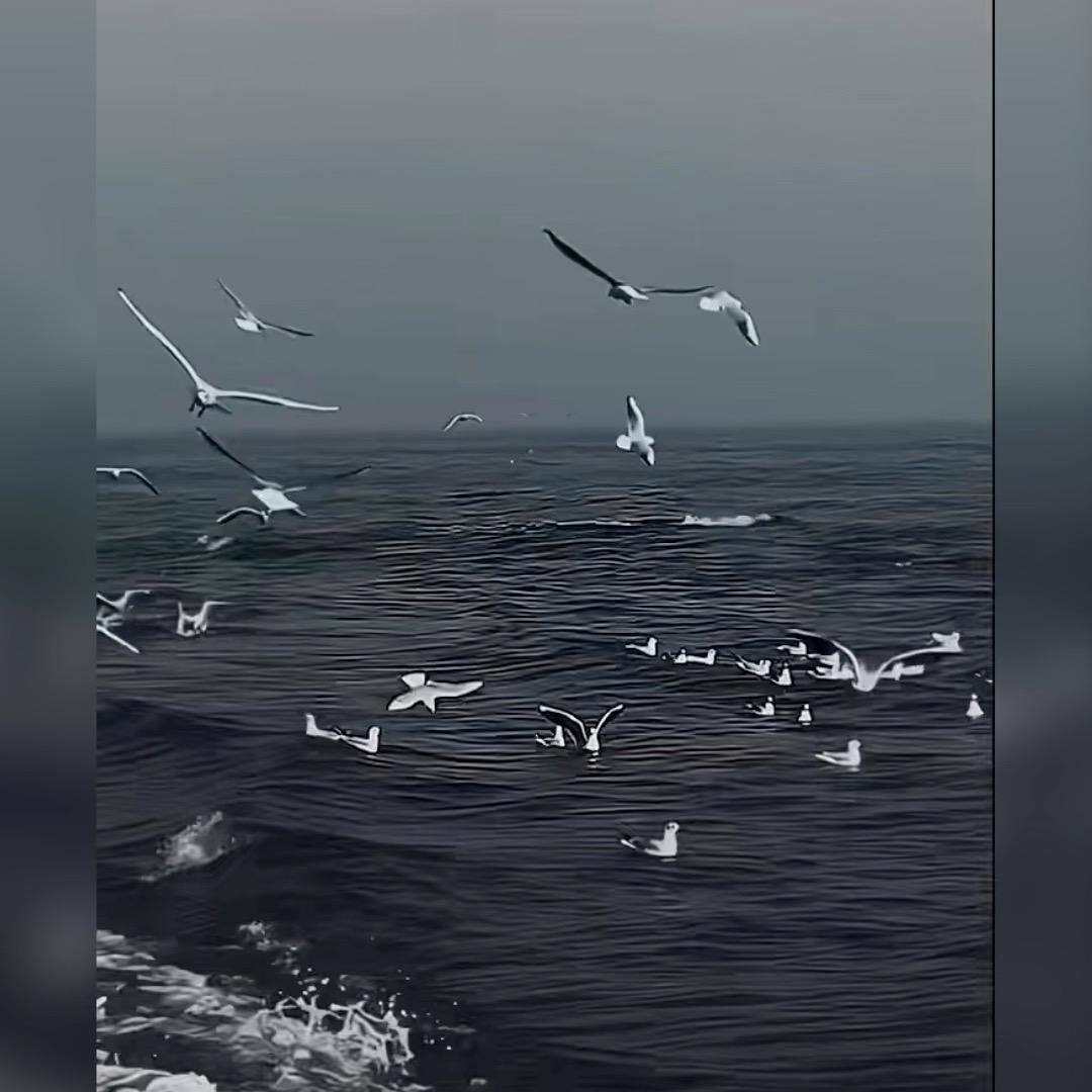少爷