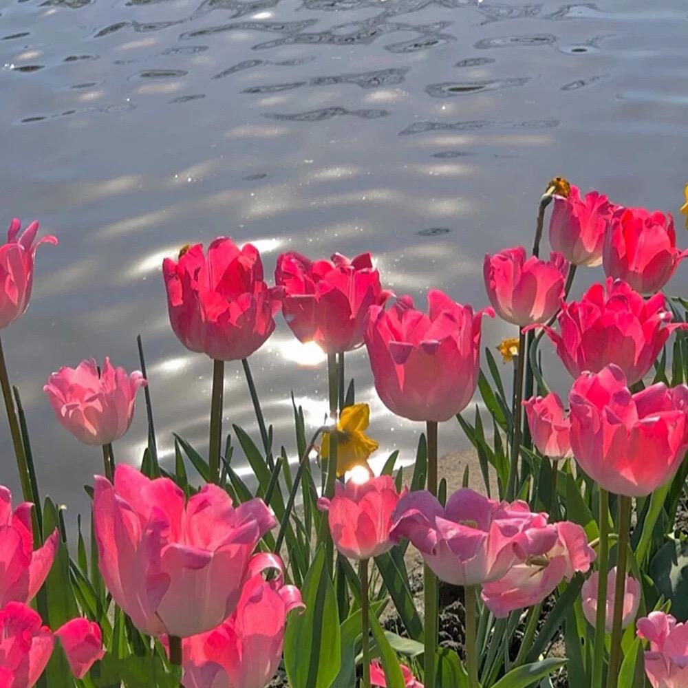 🌈Yang.💐