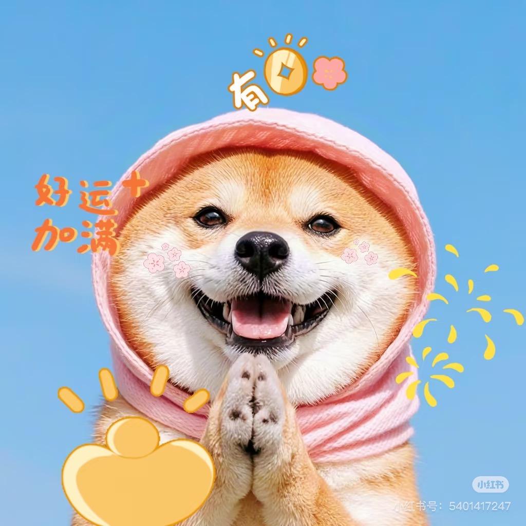 朱朱不要水逆