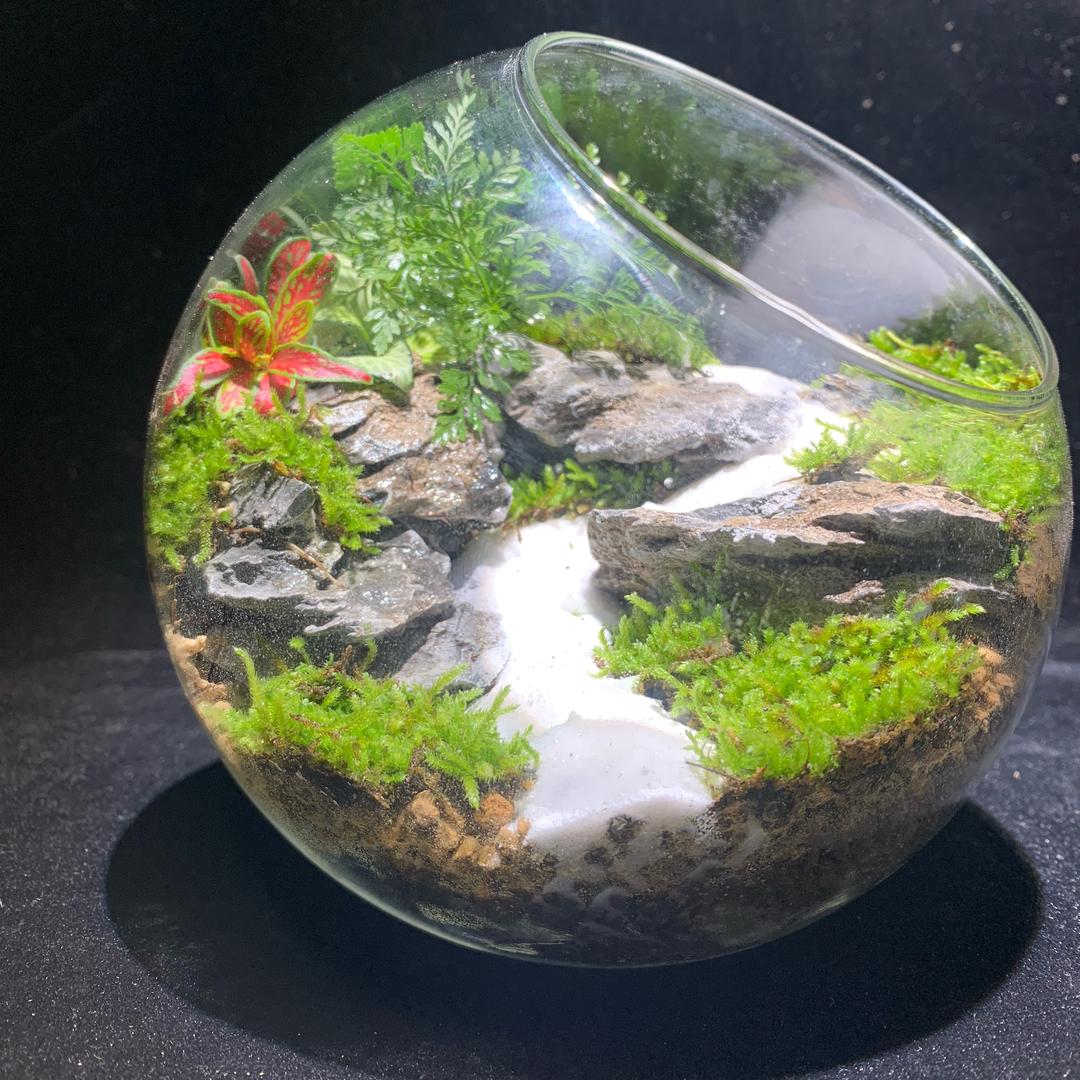 家中的山水画