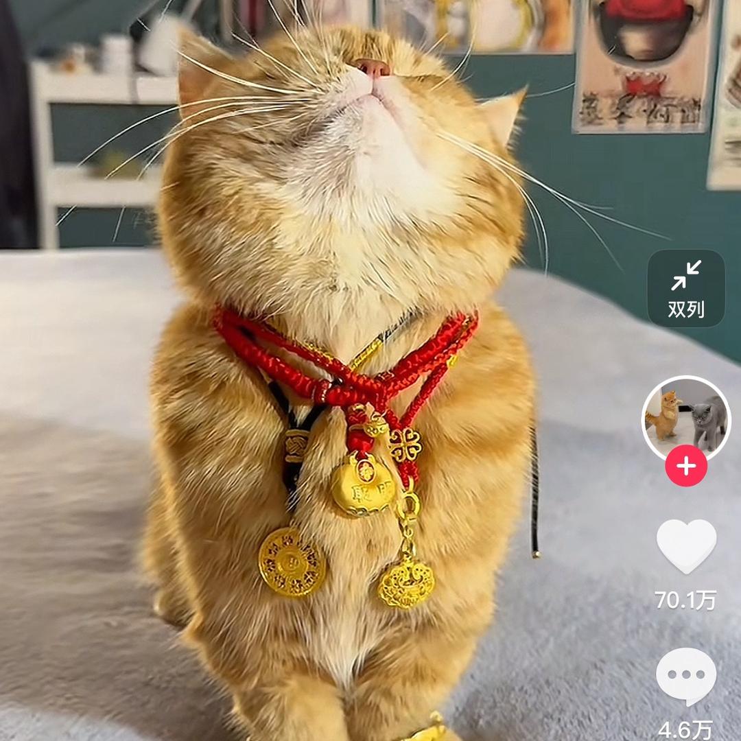 @老胡阿姨～❤️❤️