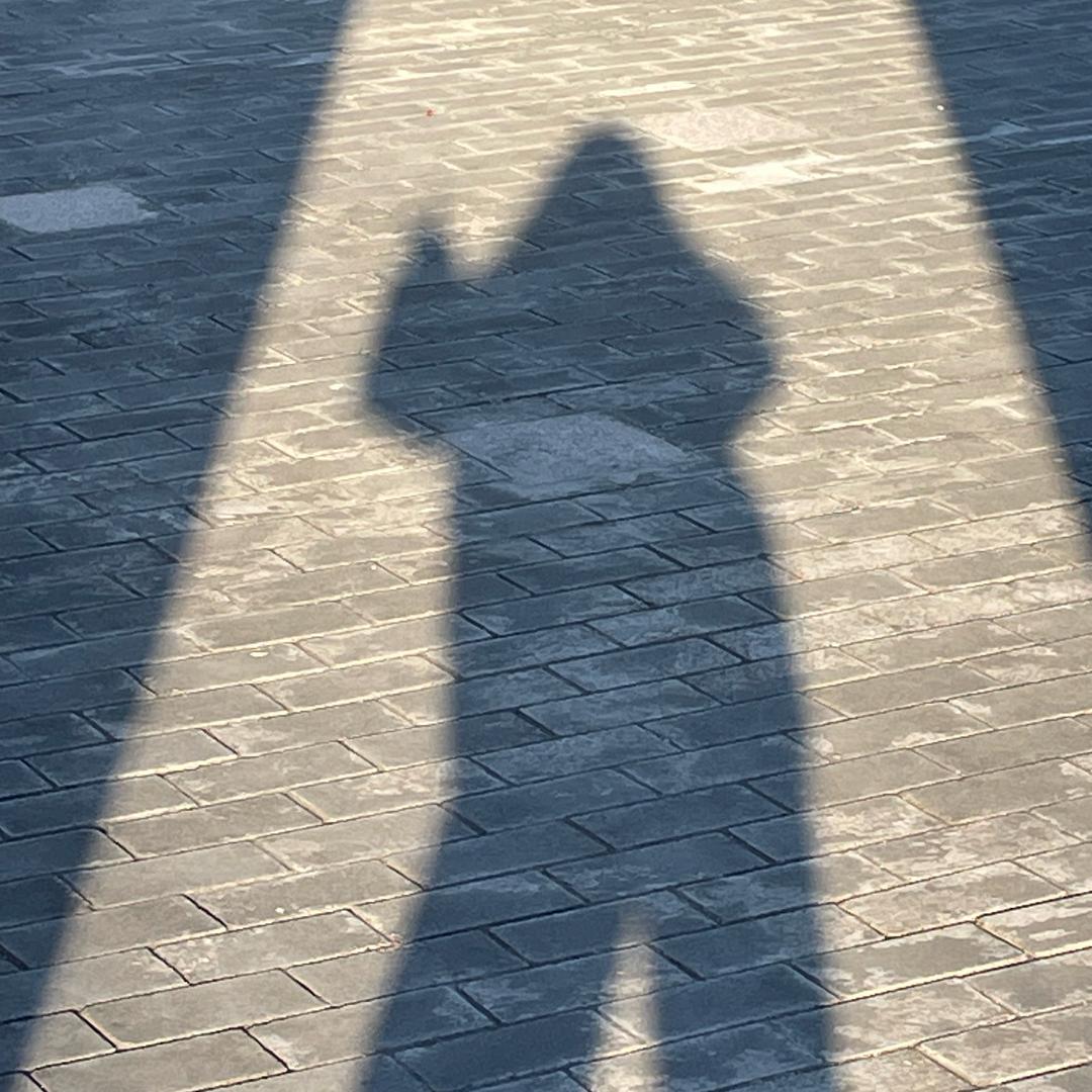 老葱（野猪娘娘？）