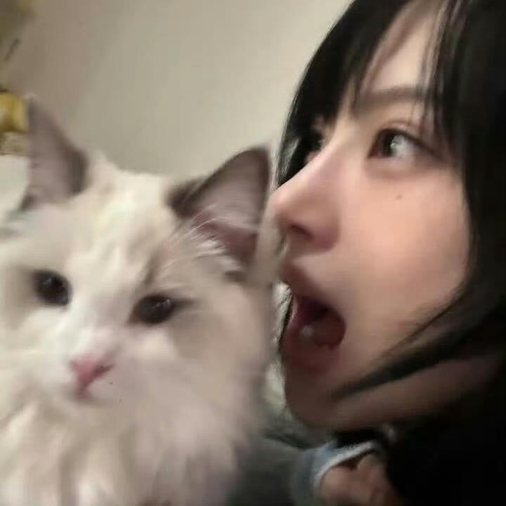 如果命苦是种天赋^