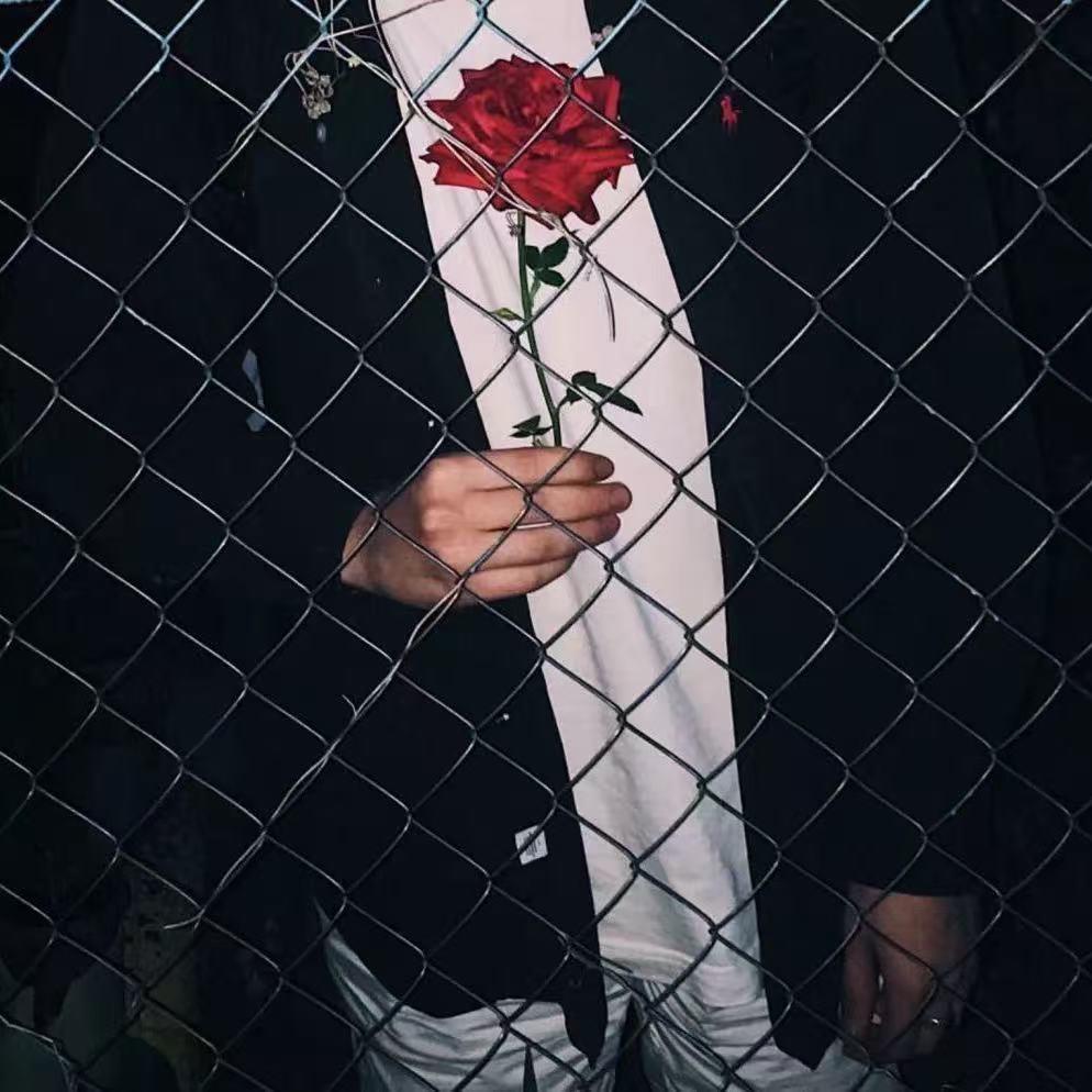 浏阳烟花🎆陈十九