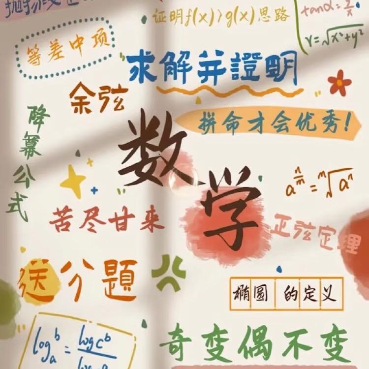 子轶数学桑老师