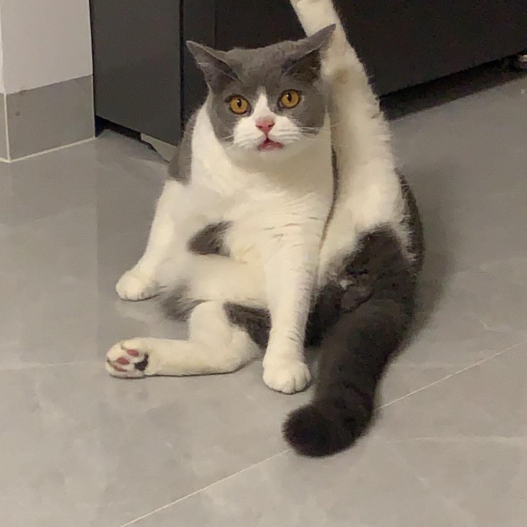 王姐爱生活