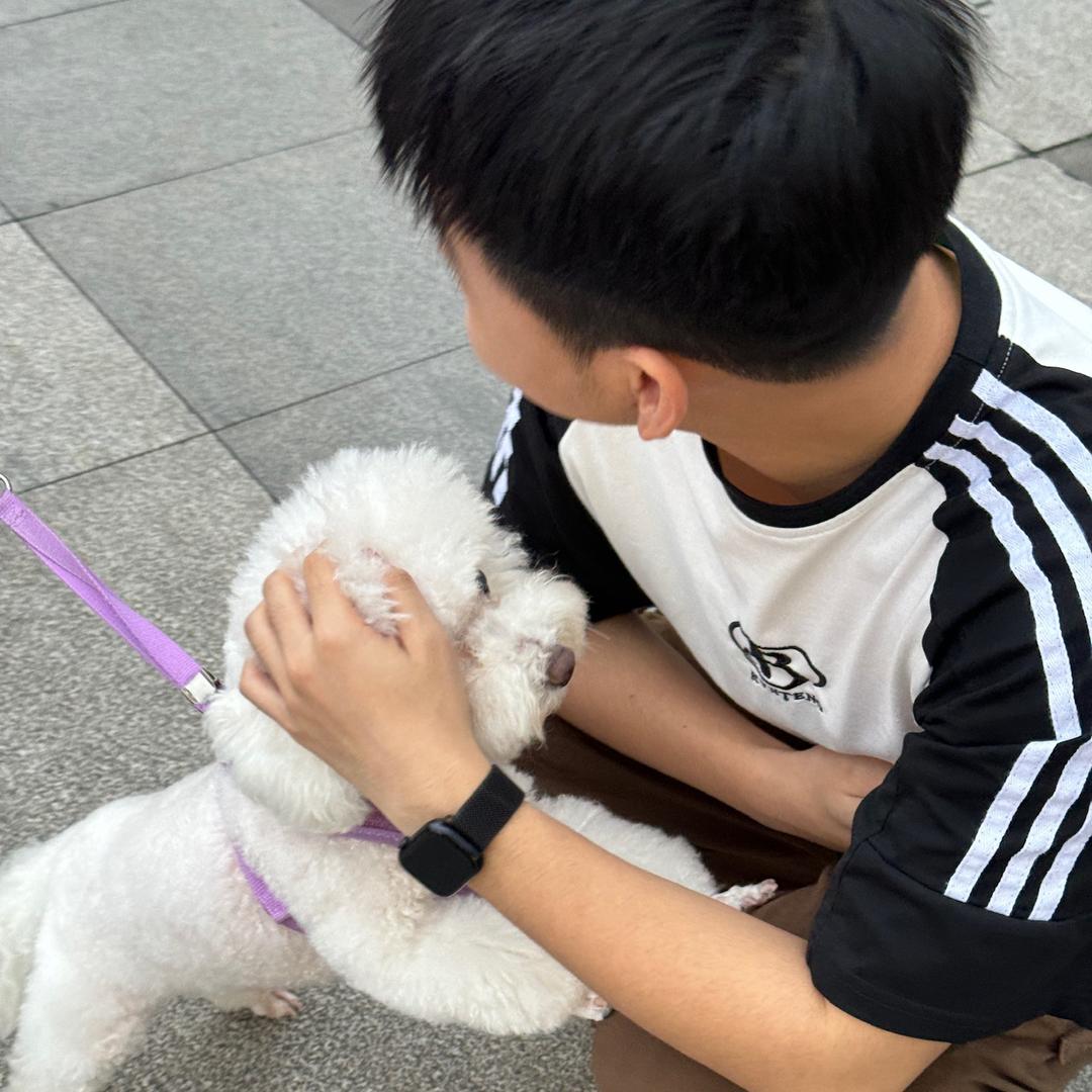 鸡仔.