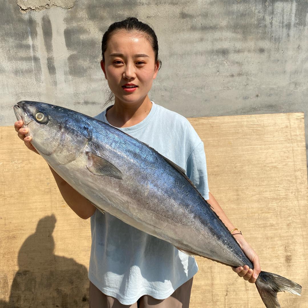 沾化丰业海鲜