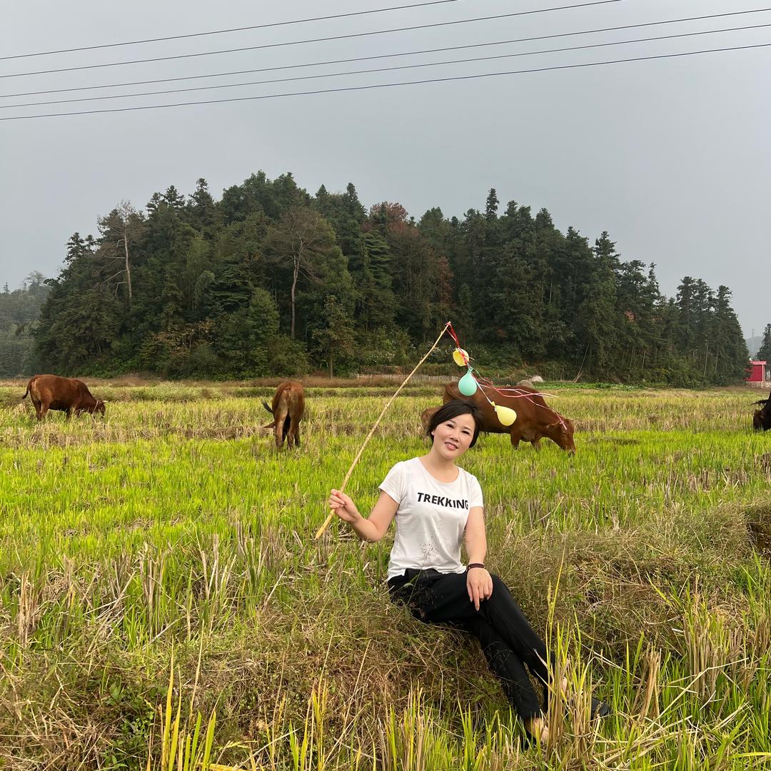 边牧-肉肉