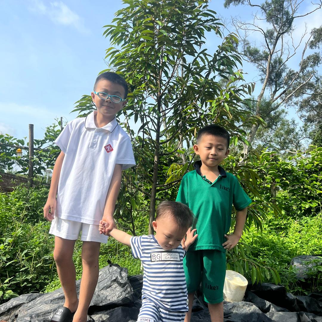 湛江榴莲种植～权哥