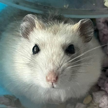 我脾气不大；好！