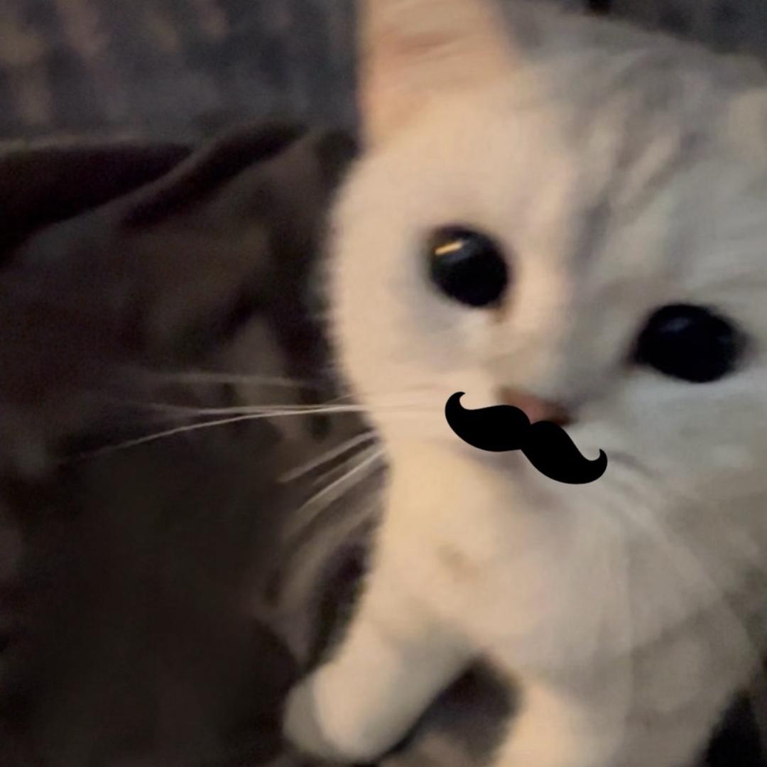 0酱