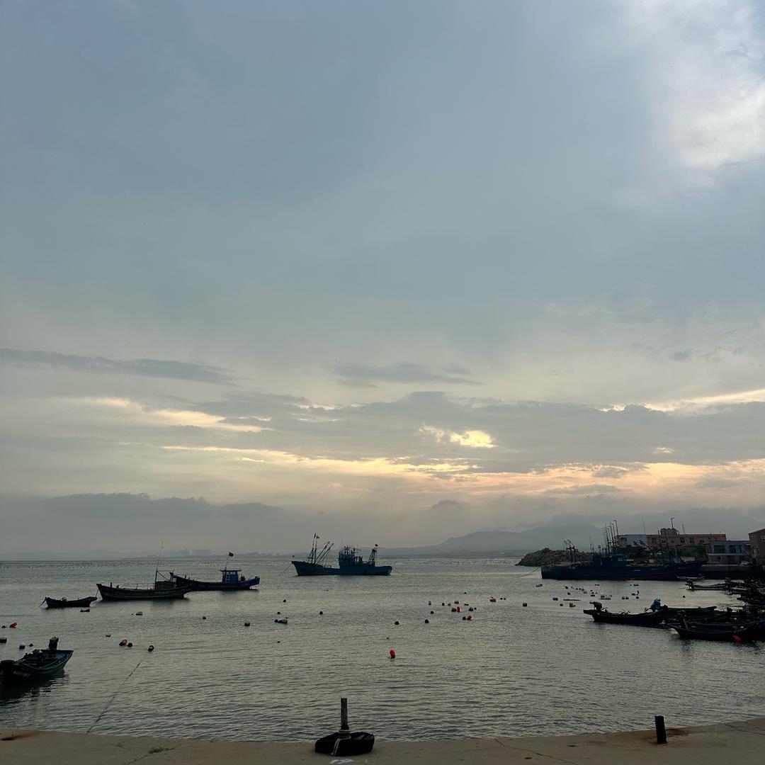 海鲜活虾批发产地直达