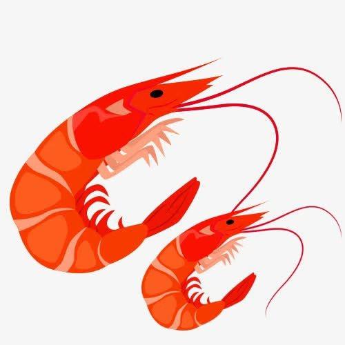 于洋【常年收售南美虾】