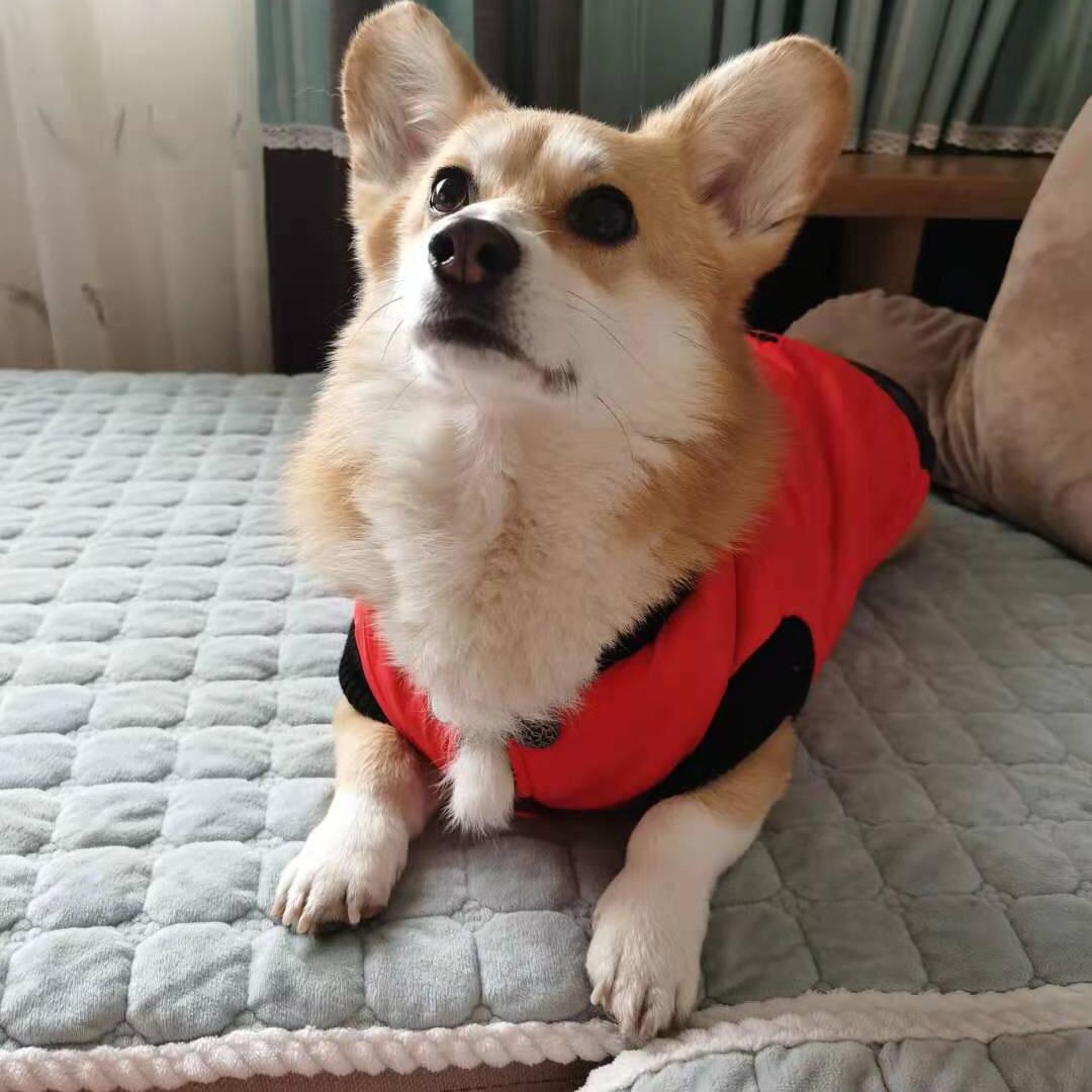 我在天堂有块地