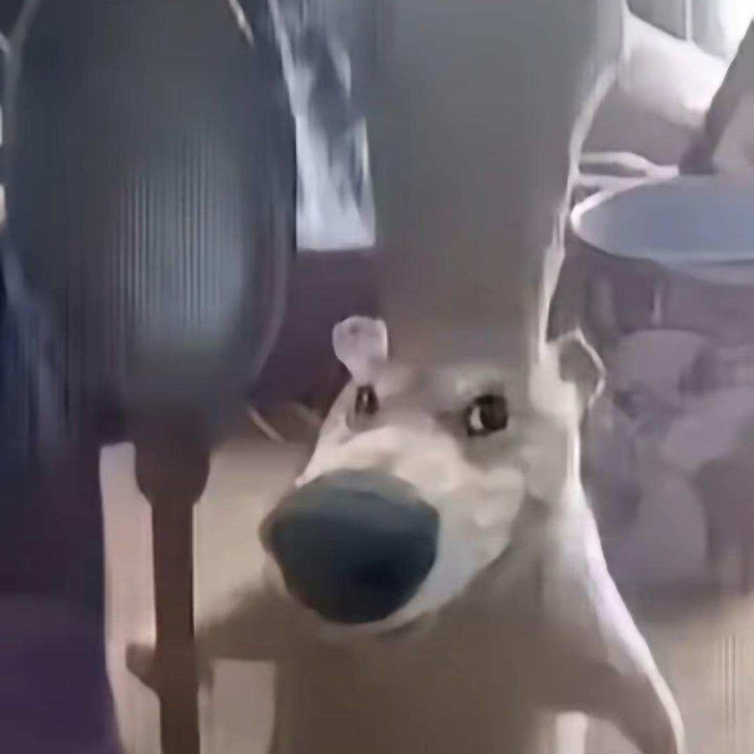 ❕