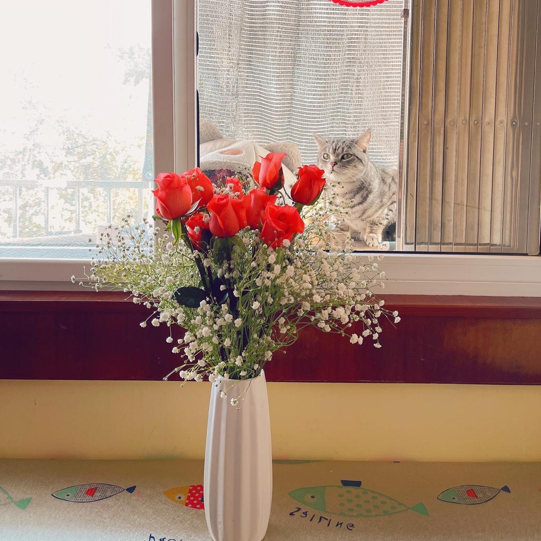 芯璦🍃