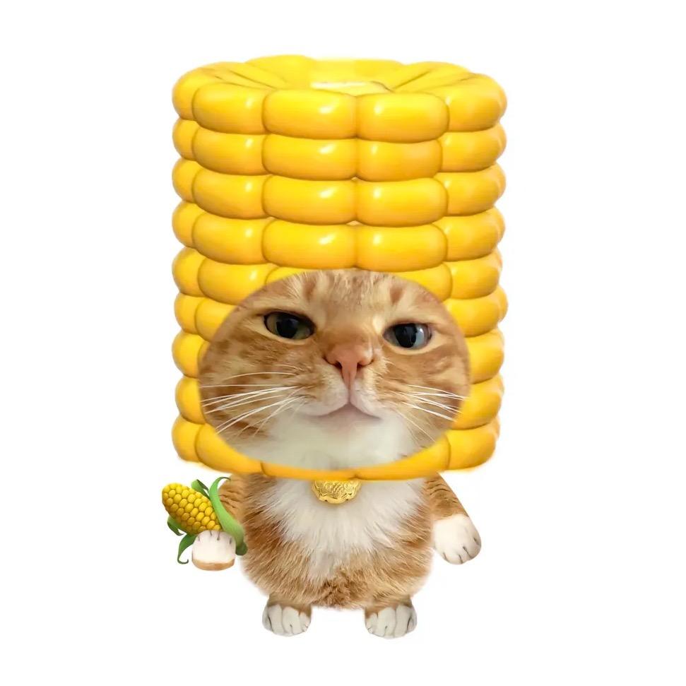 深情炒毛蛋