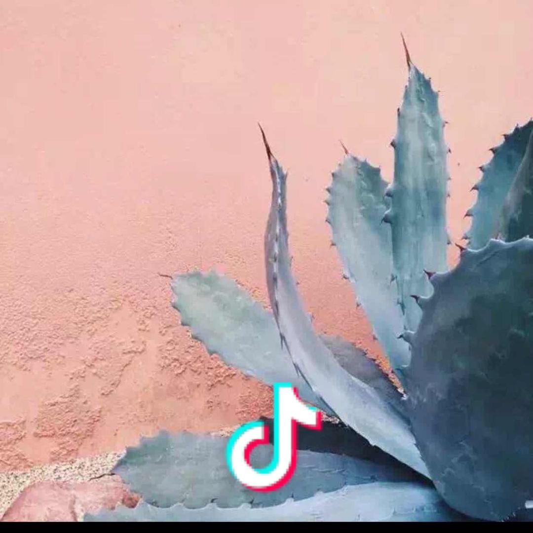 晚熟陈先森
