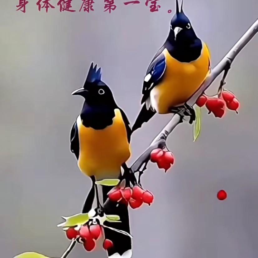 微笑钱行😂😂
