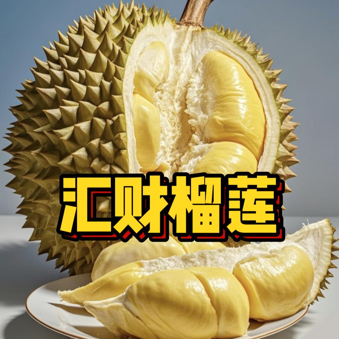 汇财食品