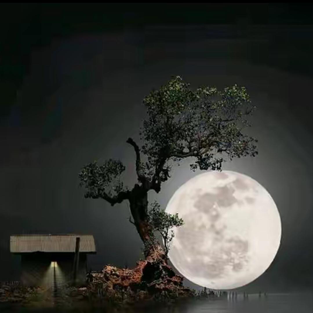 曹          宾