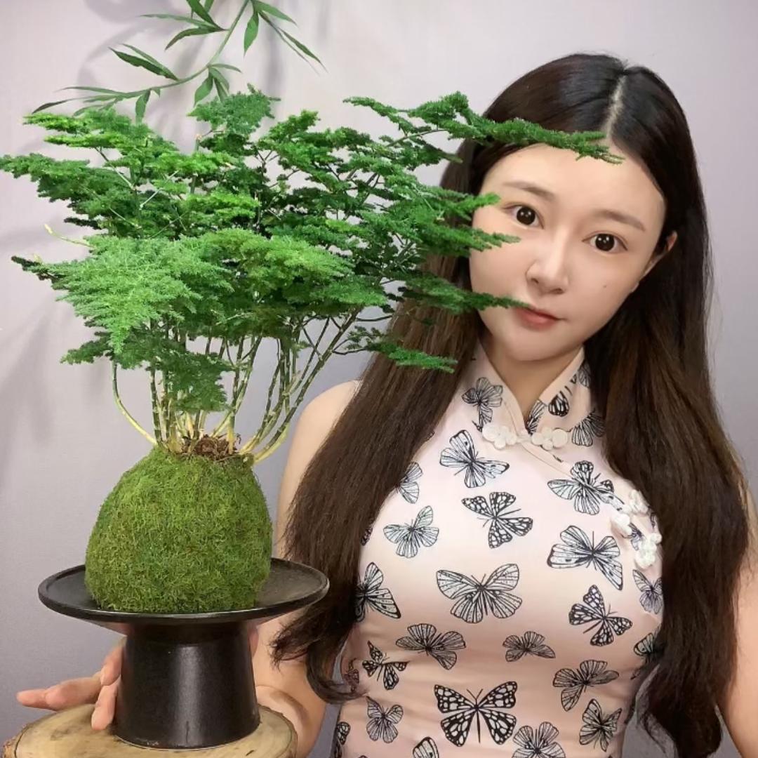 天天花卉