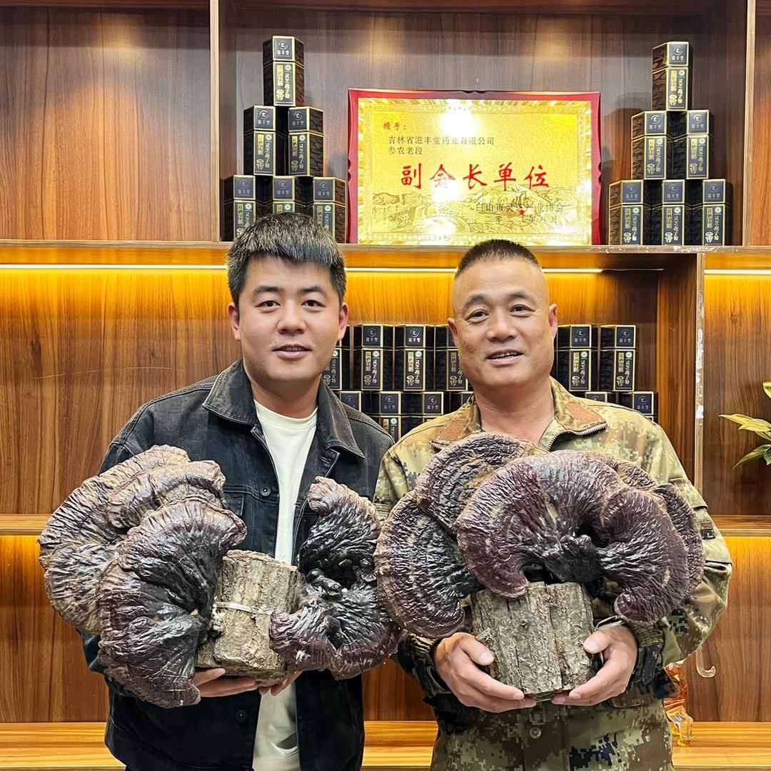 参农老段