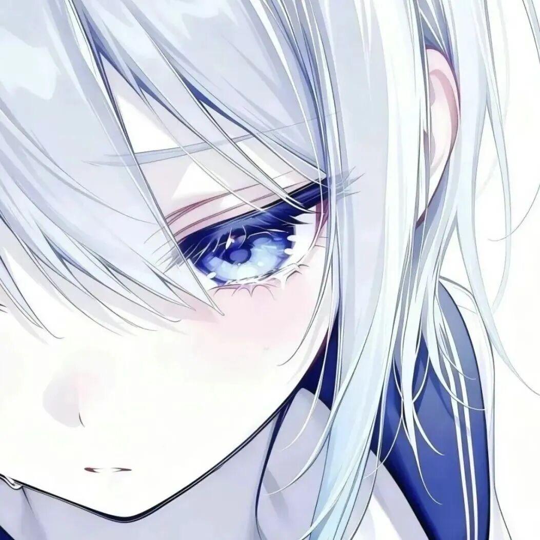 qaq