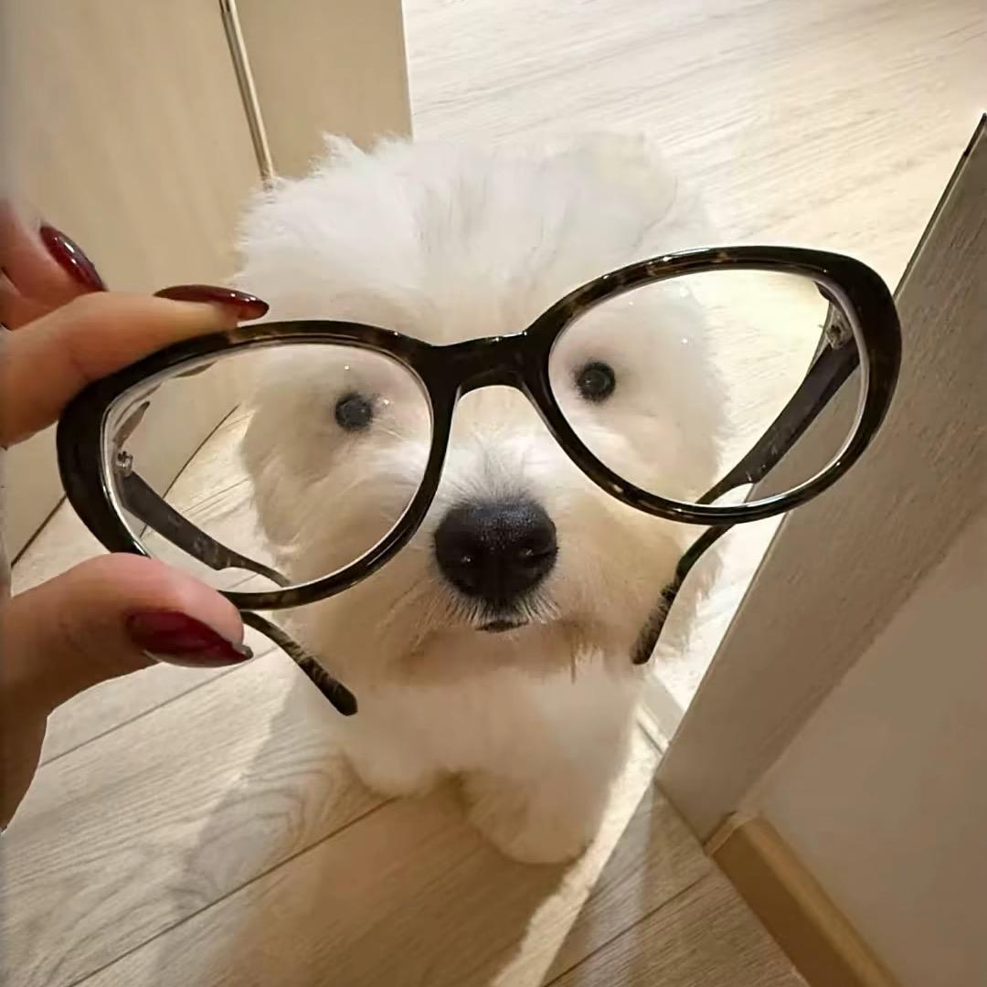 黄碾中华驾培咨询（娜娜）