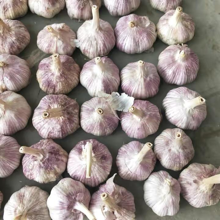 杞县佑泽农贸有限公司🧄
