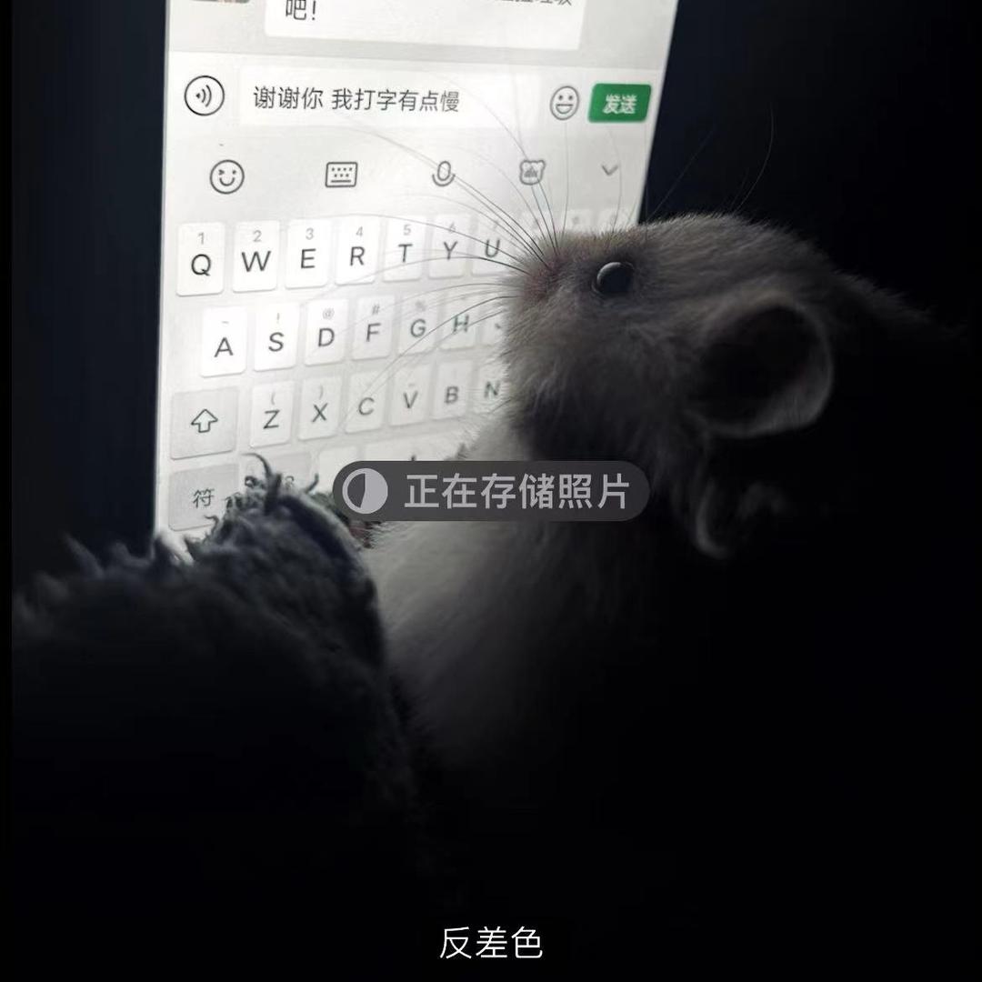 薪。