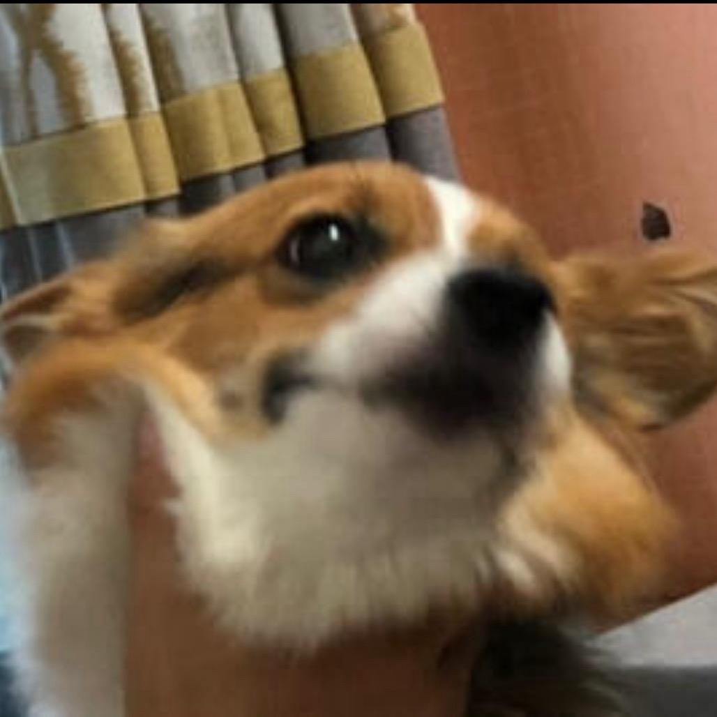 你好好