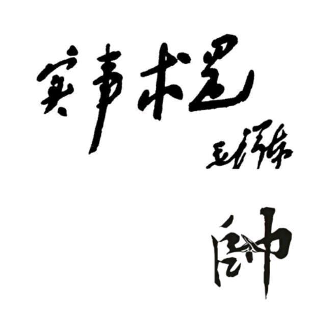 恒垣装饰 大帅