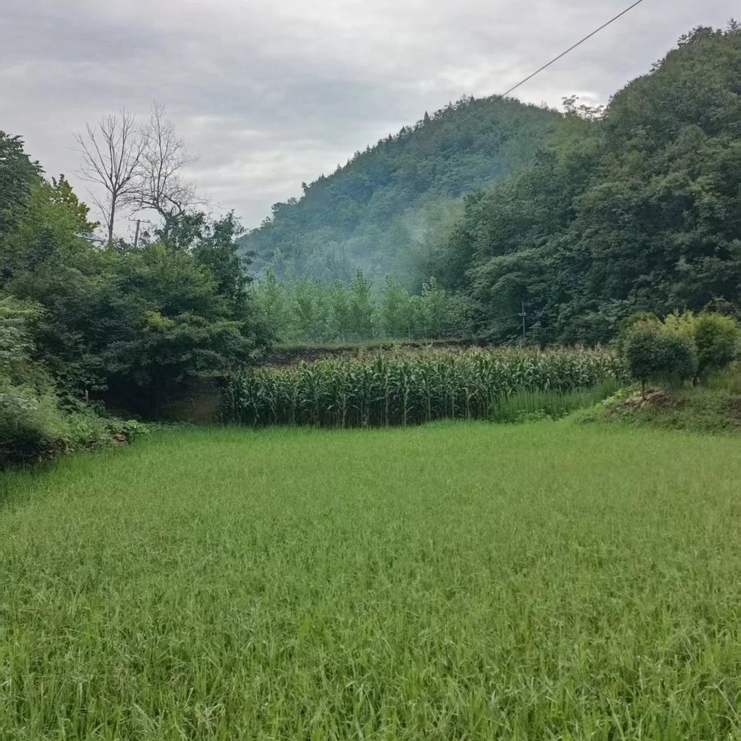 郭明亮