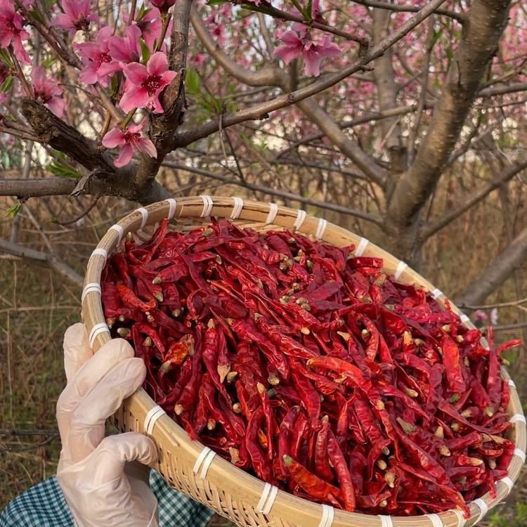 原产地干辣椒