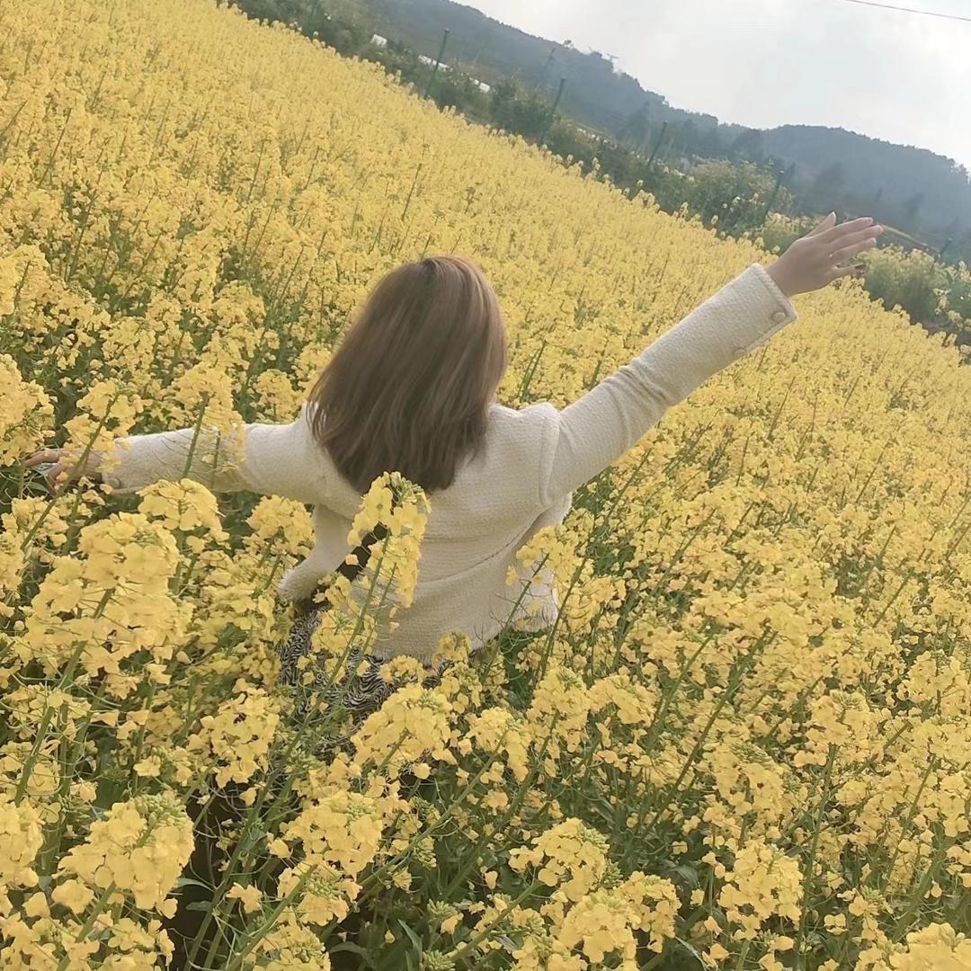 行同陌路（连赞拉黑）