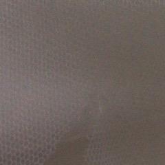 晓东