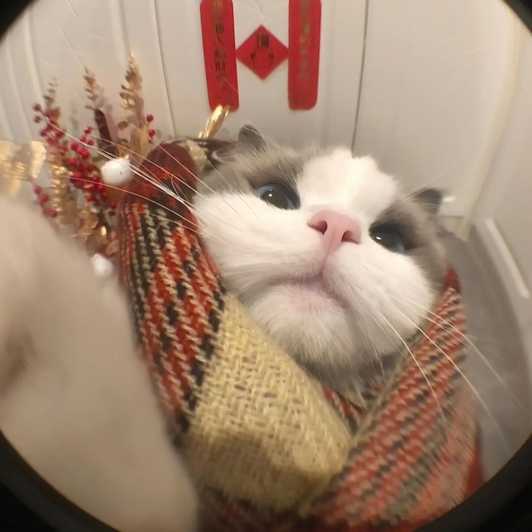 清风独醉〆