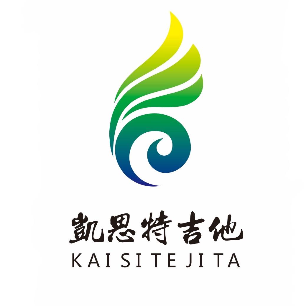 凯思特吉他琴行优选(龙子湖街道店)专用号