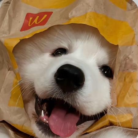 番茄炒瓜2