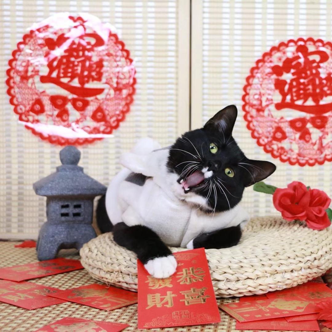 每天不知道吃什么