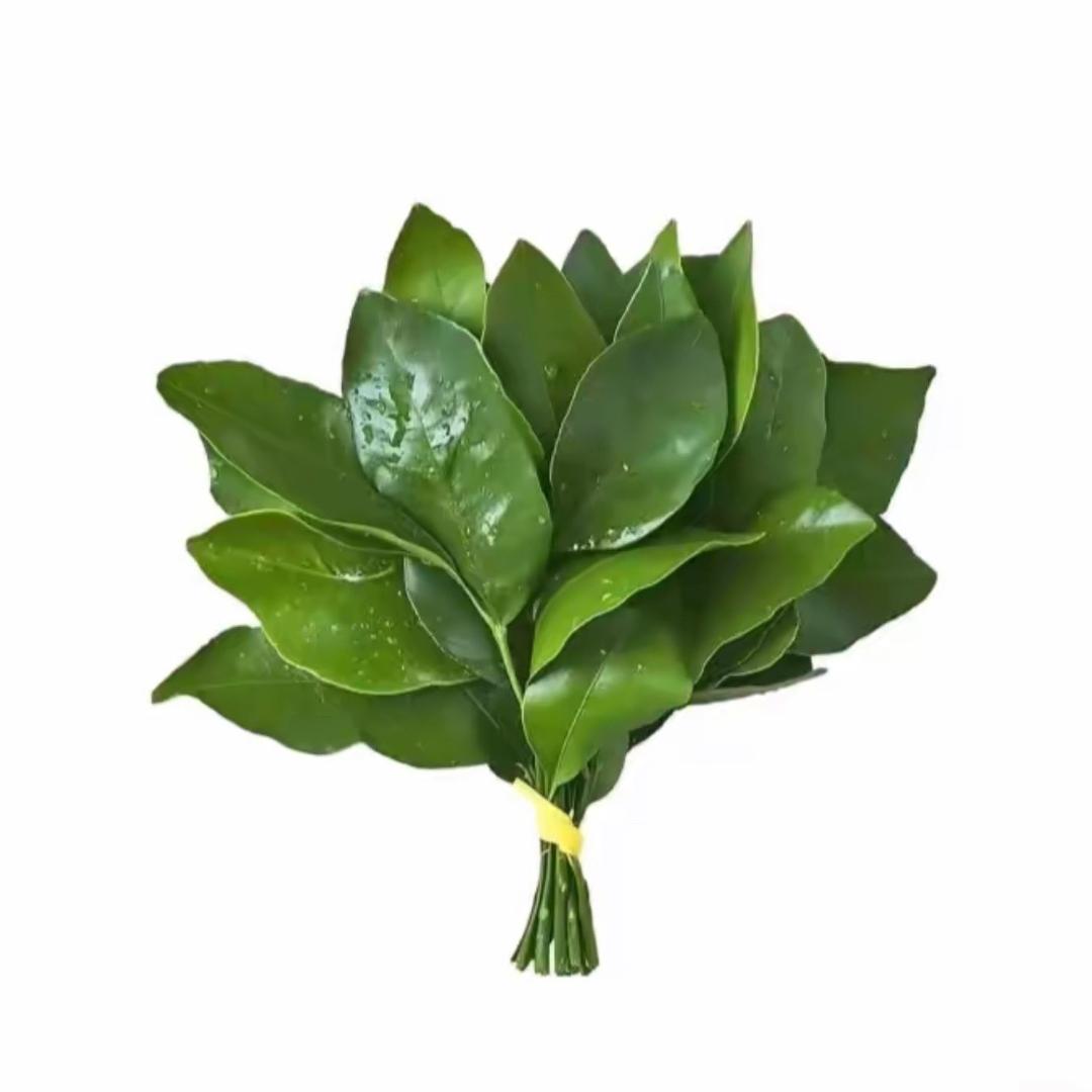 沈妤念