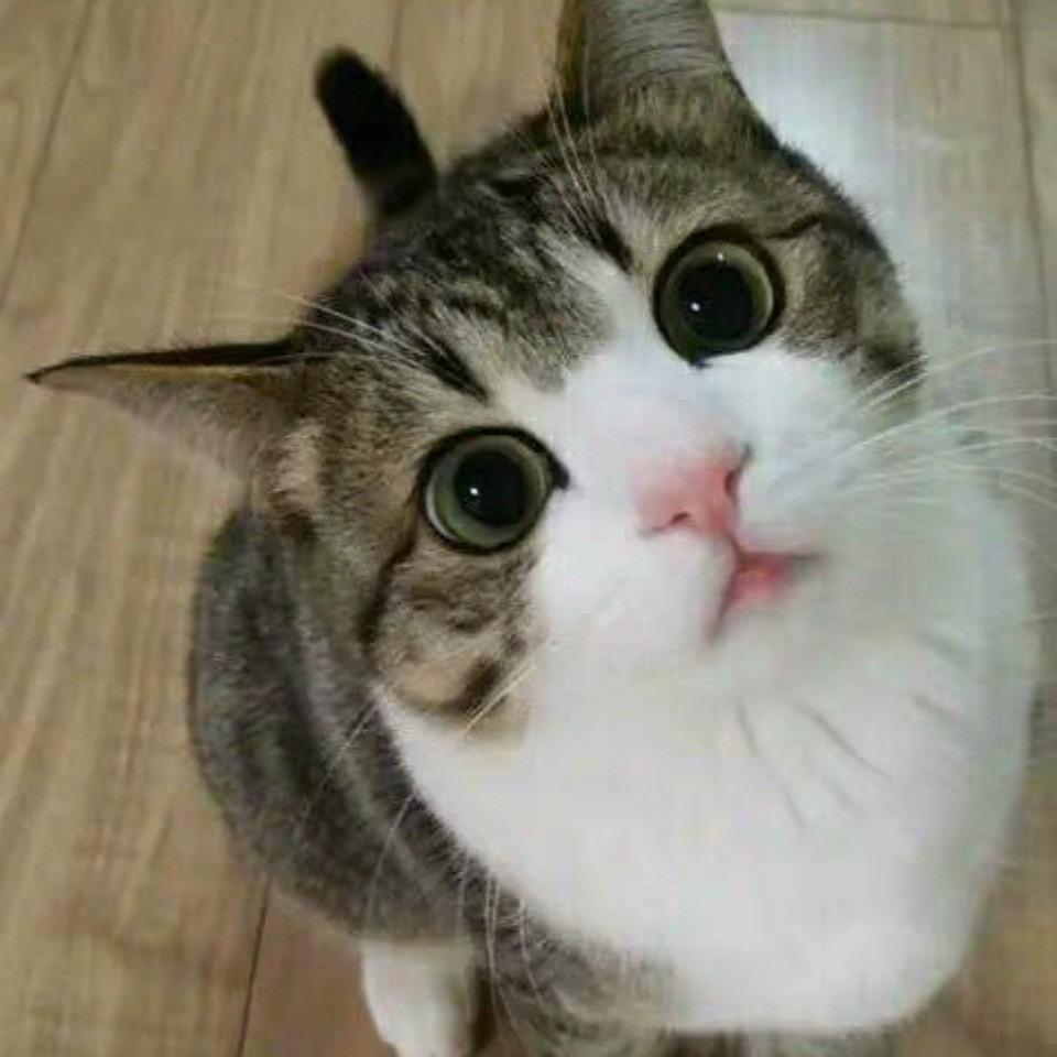 Destiny-泽📷🎣🦑