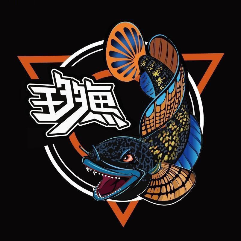王多鱼🐟（雷龙鱼的搬运工）