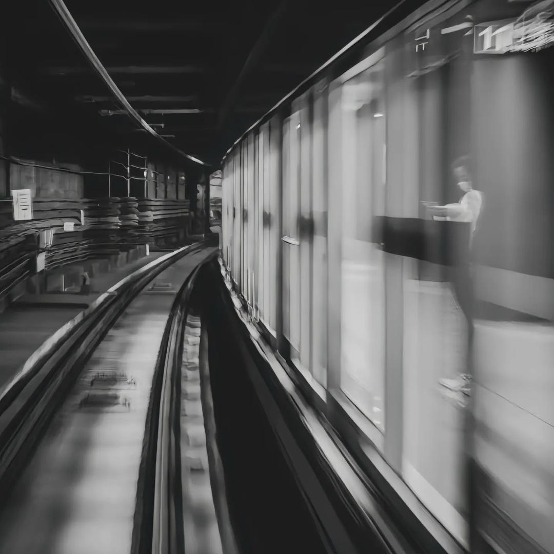 大蒜子是条比熊