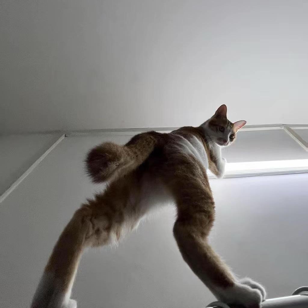 怀揣自信，崇德修身