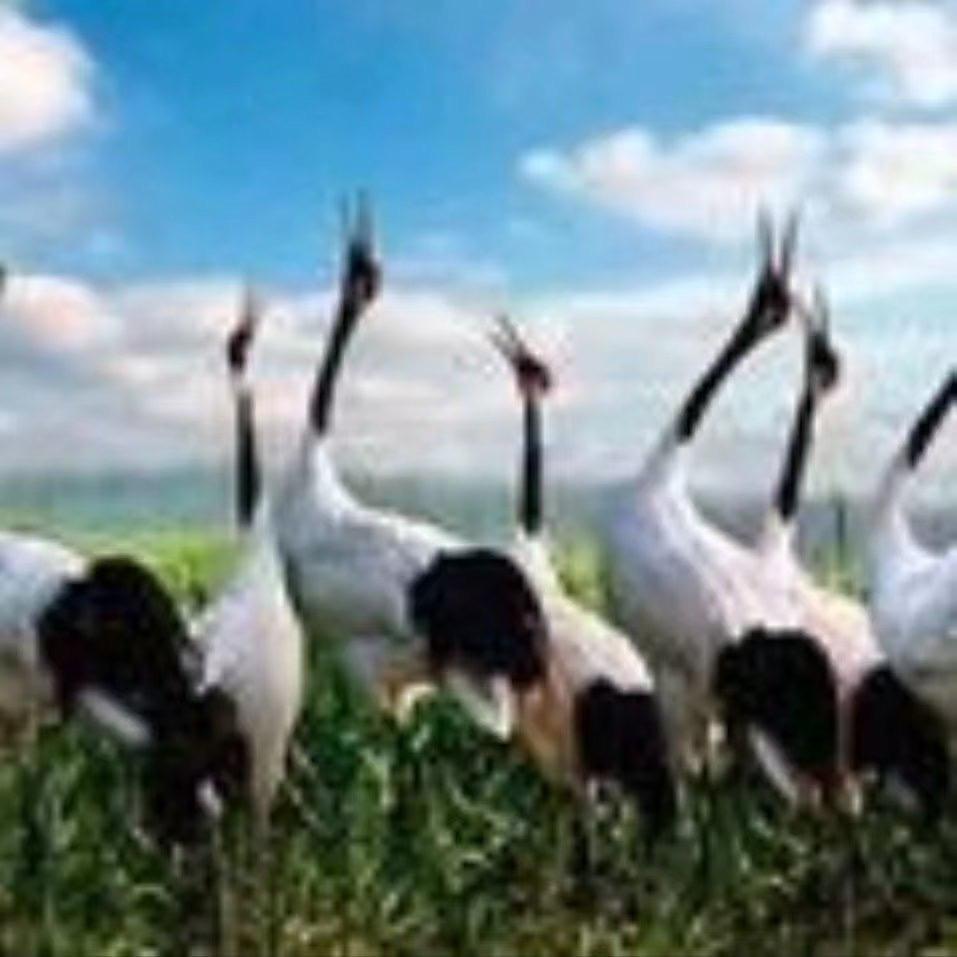 ⚡沙漠里的魚🐟 ⛹️‍♂️